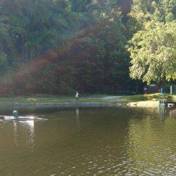 平谷湖フィッシングスポットでサクラマスを狙う